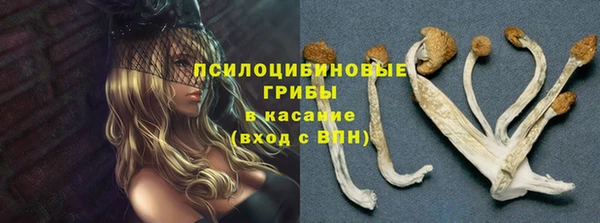 кокаин премиум Алексеевка