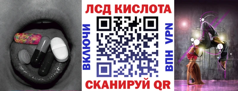 kraken как зайти  Новошахтинск  ЛСД экстази кислота 