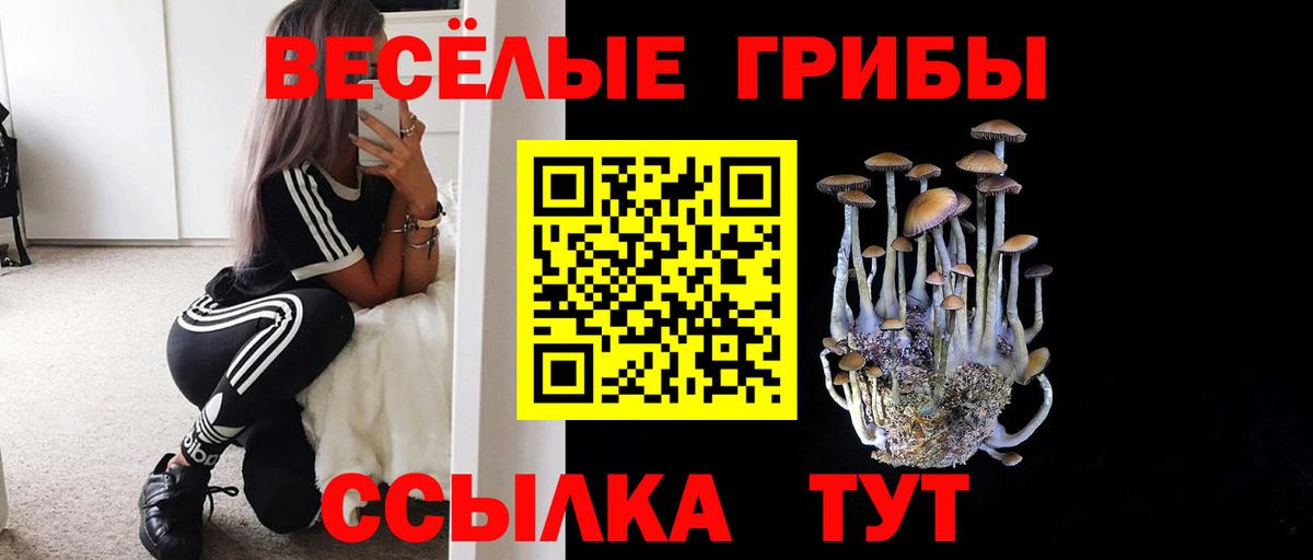 Галлюциногенные грибы ЛСД  Вход с VPN  Новошахтинск 