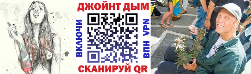 где можно купить наркотик  Новошахтинск  Канабис гибрид 